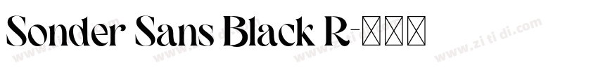 Sonder Sans Black R字体转换 Sonder Sans Black R字体转换